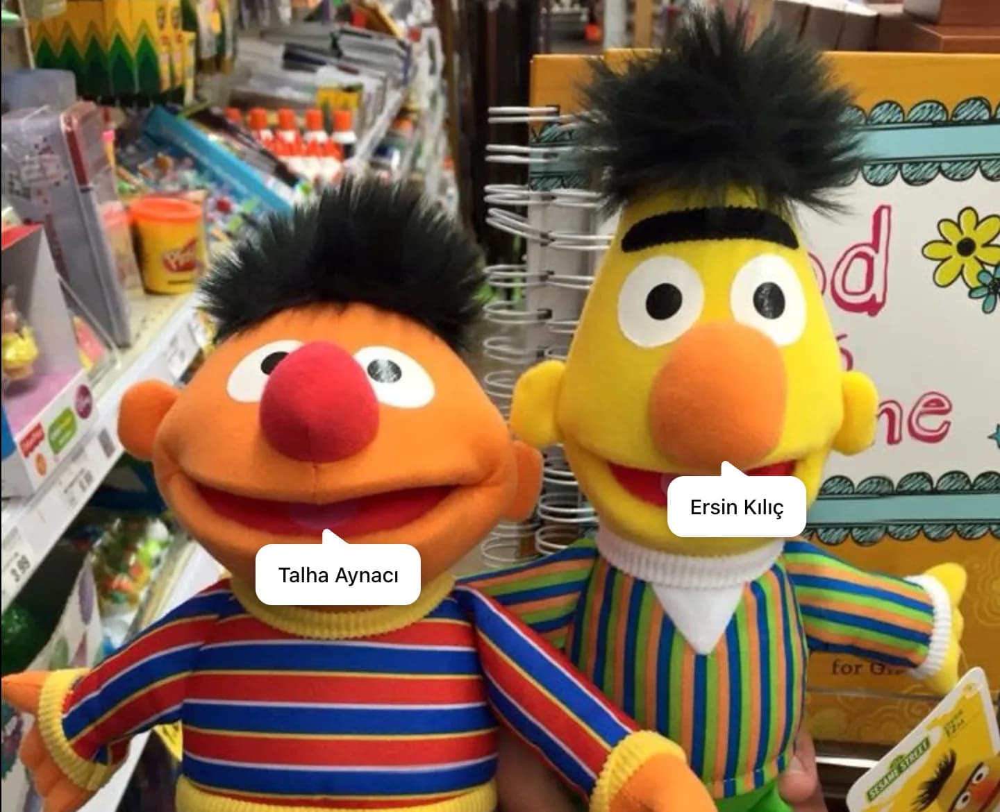Talha ve Ersin